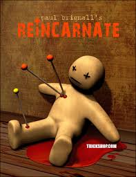 [Ebook]-Paul Brignall - REiNCARNATE Book Test