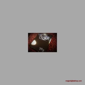 Ebook cover of Phasmology by Professor BC